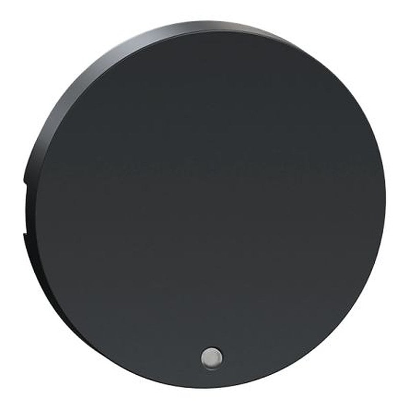 Schneider Electric Anthracite Rocker, Odace 2011