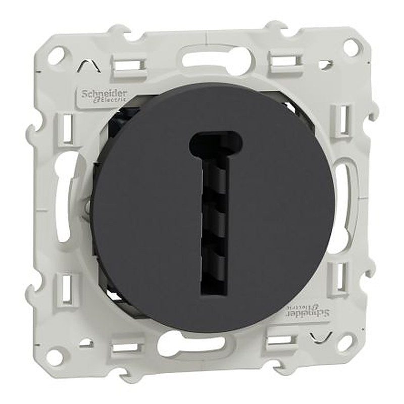 Schneider Electric Anthracite Light Switch 1