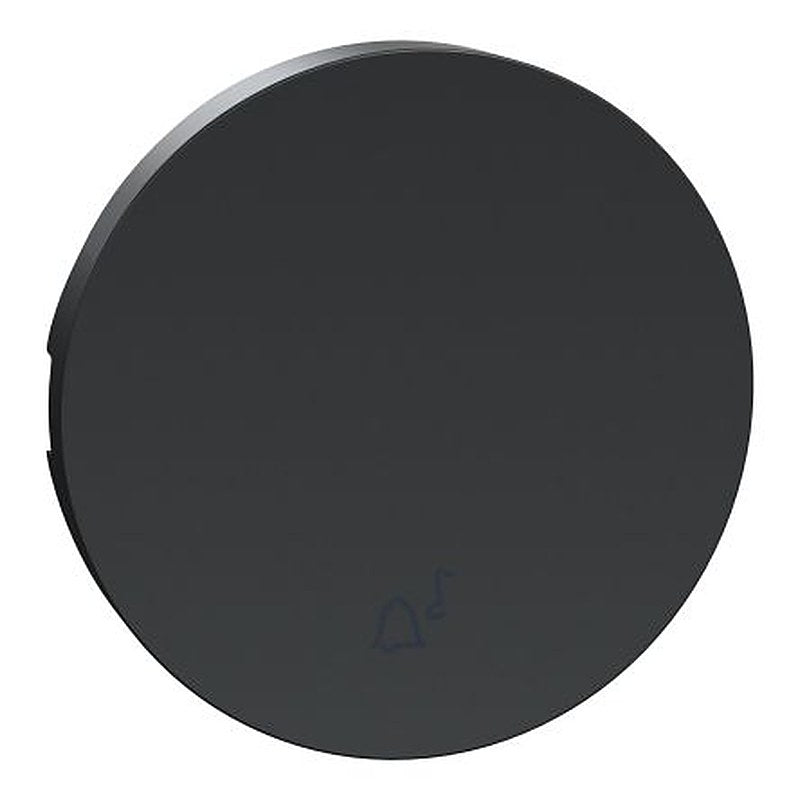 Schneider Electric Anthracite, 1 Gang, Odace 2011
