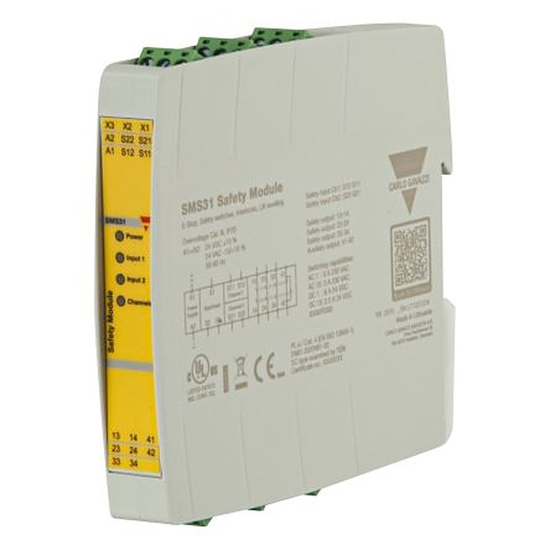 Carlo Gavazzi SMS20_31_DS_EN Series Input/Output Module, 2 Inputs, 24V