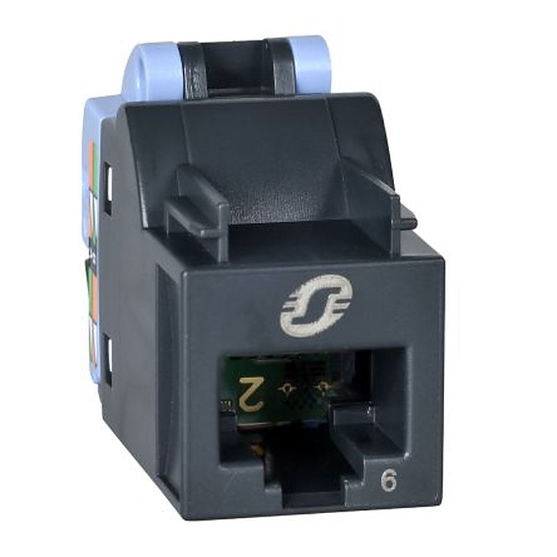 Schneider Electric Actassi Series RJ45 Connector Female, Cable, Cat6 U/UTP Shield Straight 1 Port 8 Way