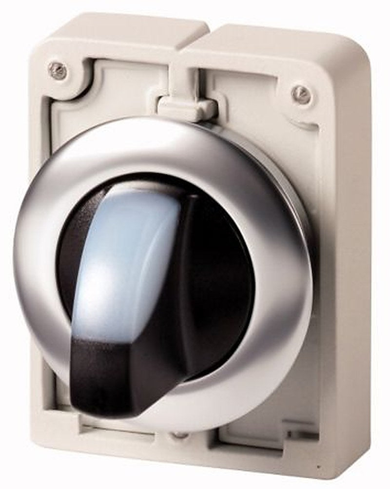 Eaton M30 Series 2 Position Illuminated Selector Switch Head, 30 mm Cutout, White, White Handle, IP66