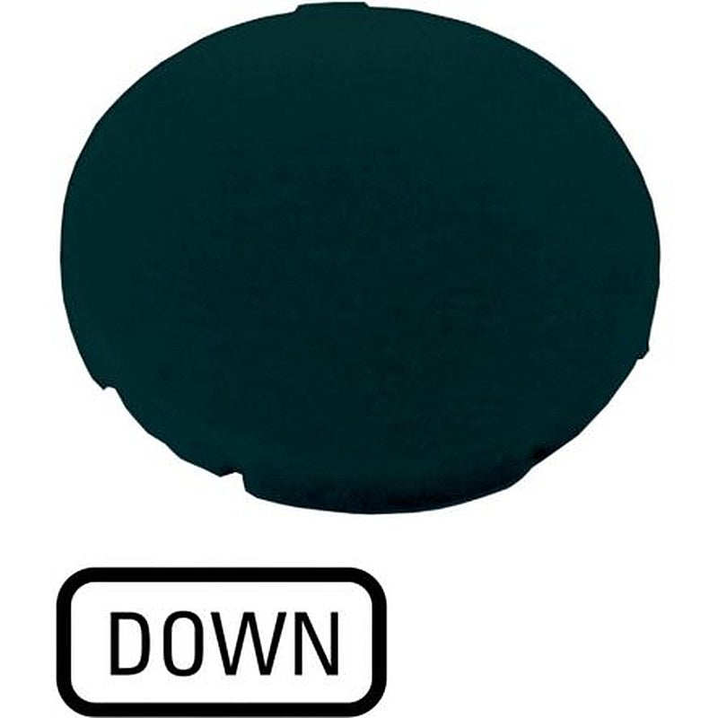 Eaton Button Plate for Use with Push Button, Pre-printed "Individual inscription possible (5 characters or more than 5