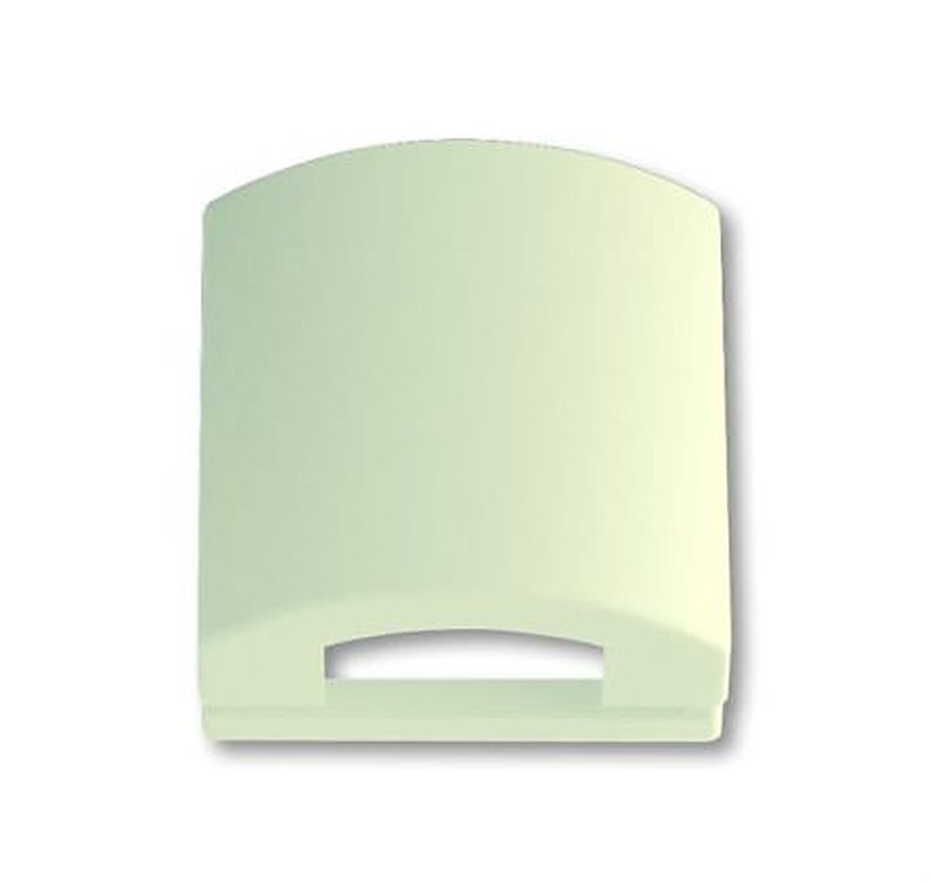 ABB White 1 Gang Plastic Cover Plate