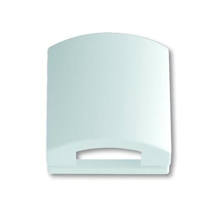 ABB White 1 Gang Plastic Cover Plate