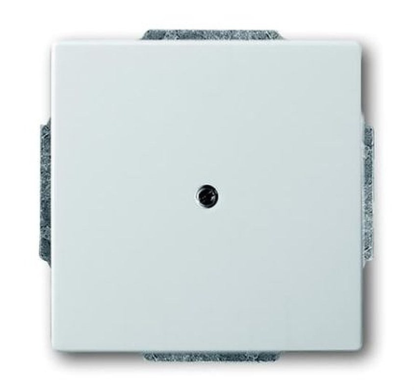 ABB 2CKA Series, Cover Plate Flush