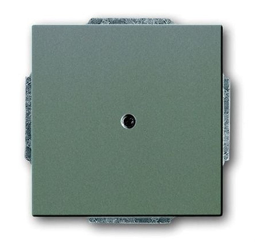 ABB 2CKA Series, Cover Plate Flush