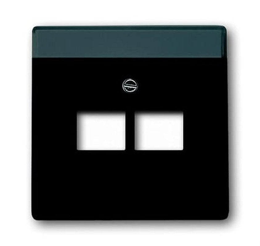 ABB 2CKA Series, RJ45 Cover Plate Flush