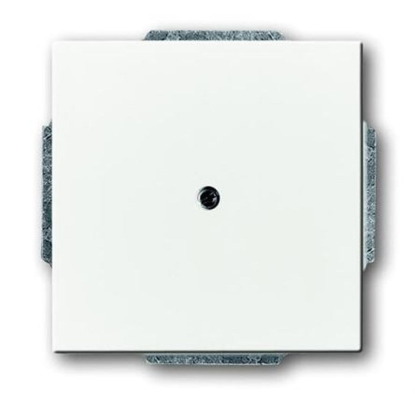 ABB 2CKA Series, Cover Plate Flush