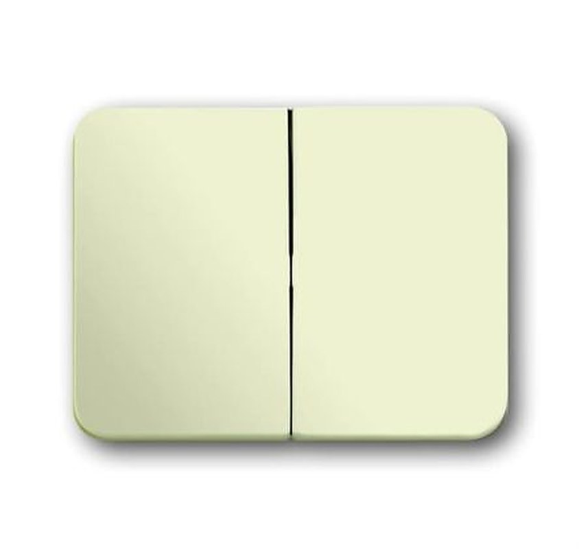 ABB White 2 Gang Light Switch Cover
