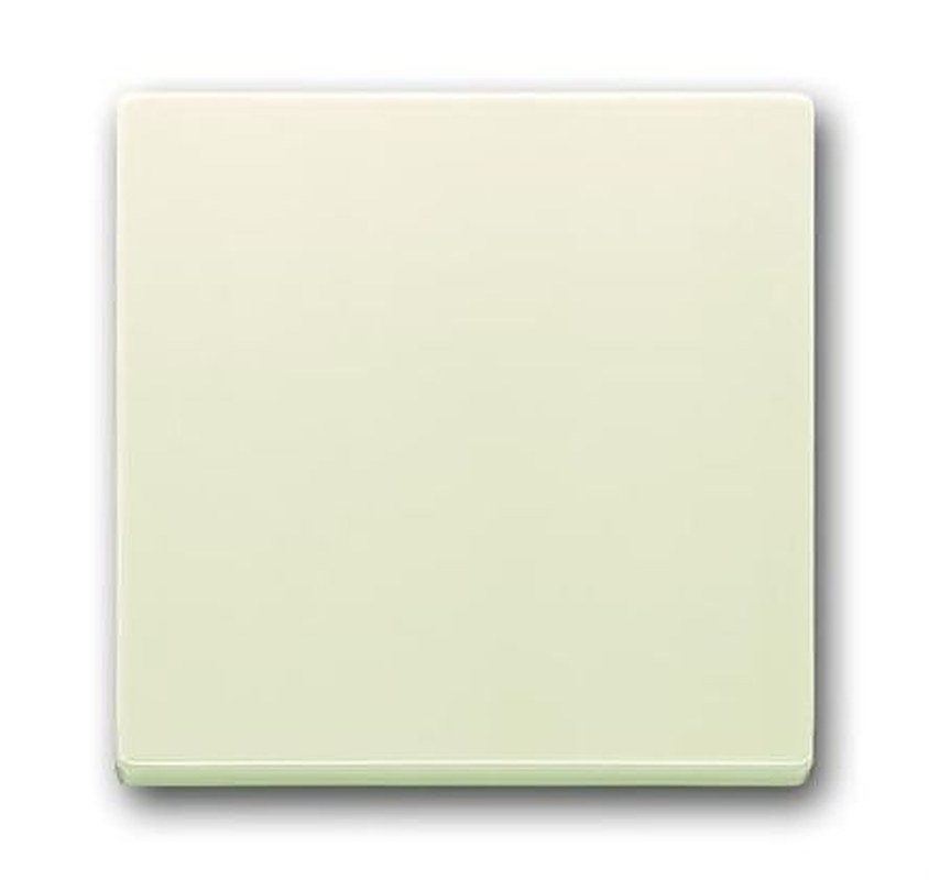 ABB White 1 Gang Light Switch Cover