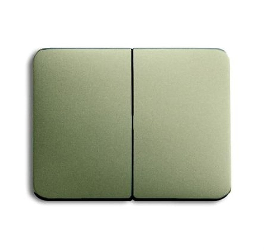 ABB Grey 2 Gang Light Switch Cover