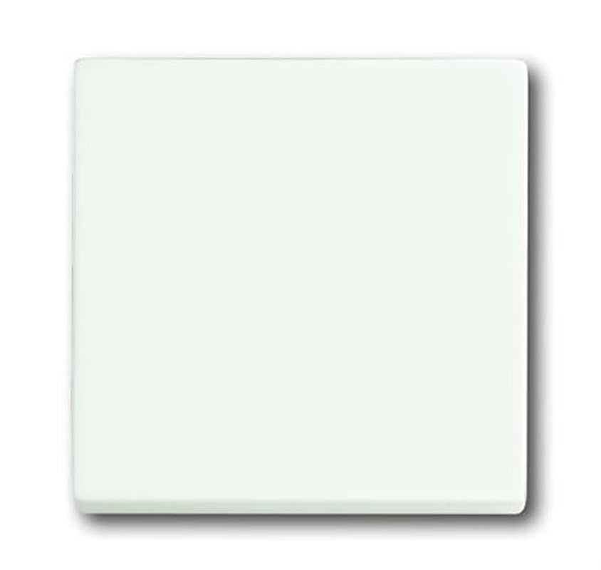 ABB White 1 Gang Light Switch Cover