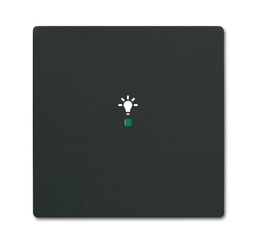 ABB Black 1 Gang Light Switch Cover