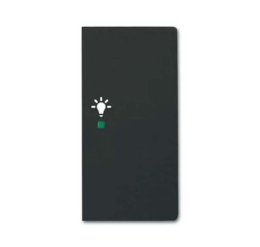 ABB Black 2 Gang Light Switch Cover