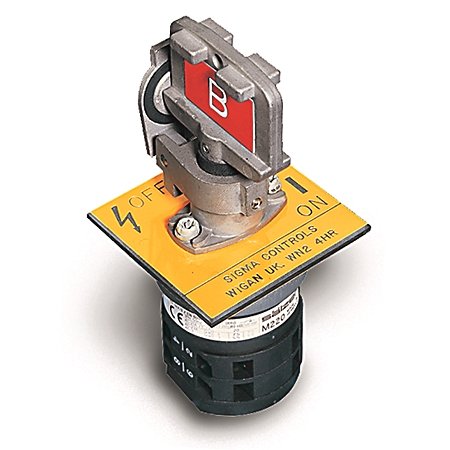 Single Key Rotary Switch - Panel Mounted, Standard Key Code Labeling, 2 N.O. & 2 N.C. Contacts, 20 Amp Current