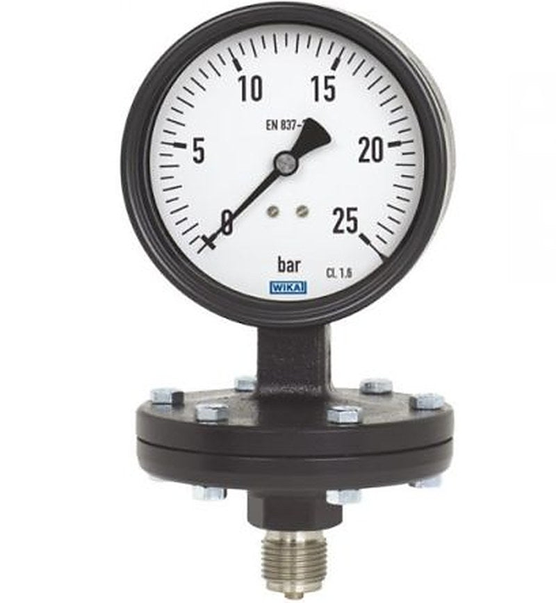WIKA G 1/2 Process Pressure Gauge, 100 mm, 0 mmHg