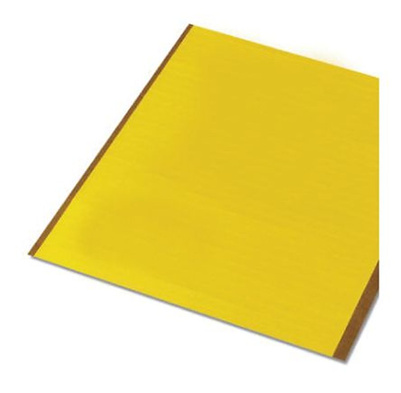Phoenix Contact Panel Marker, 20 mm Length 5031388 Yellow