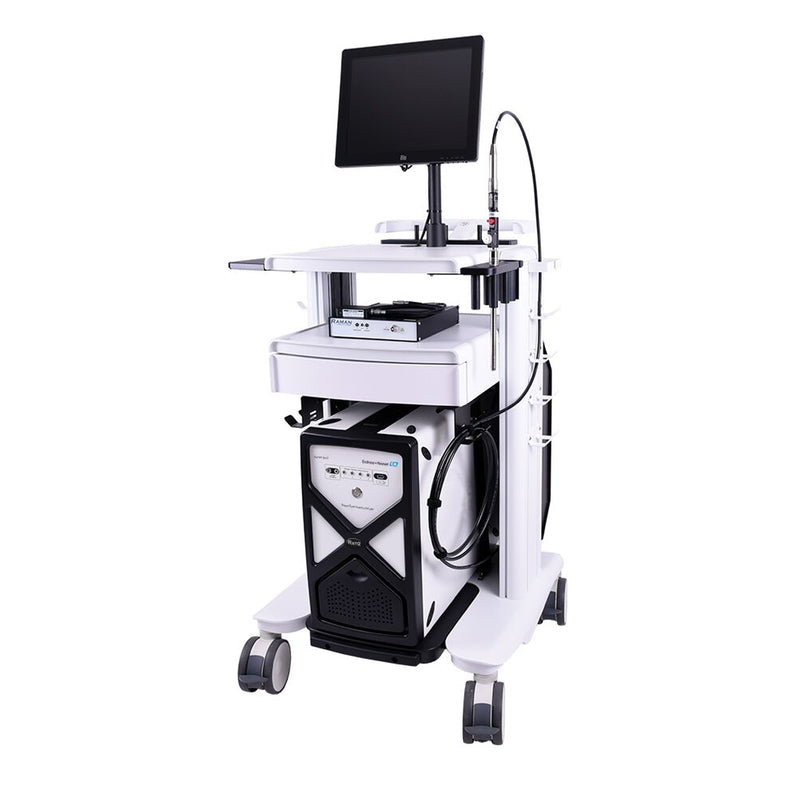 Raman Rxn2 mobile cart
