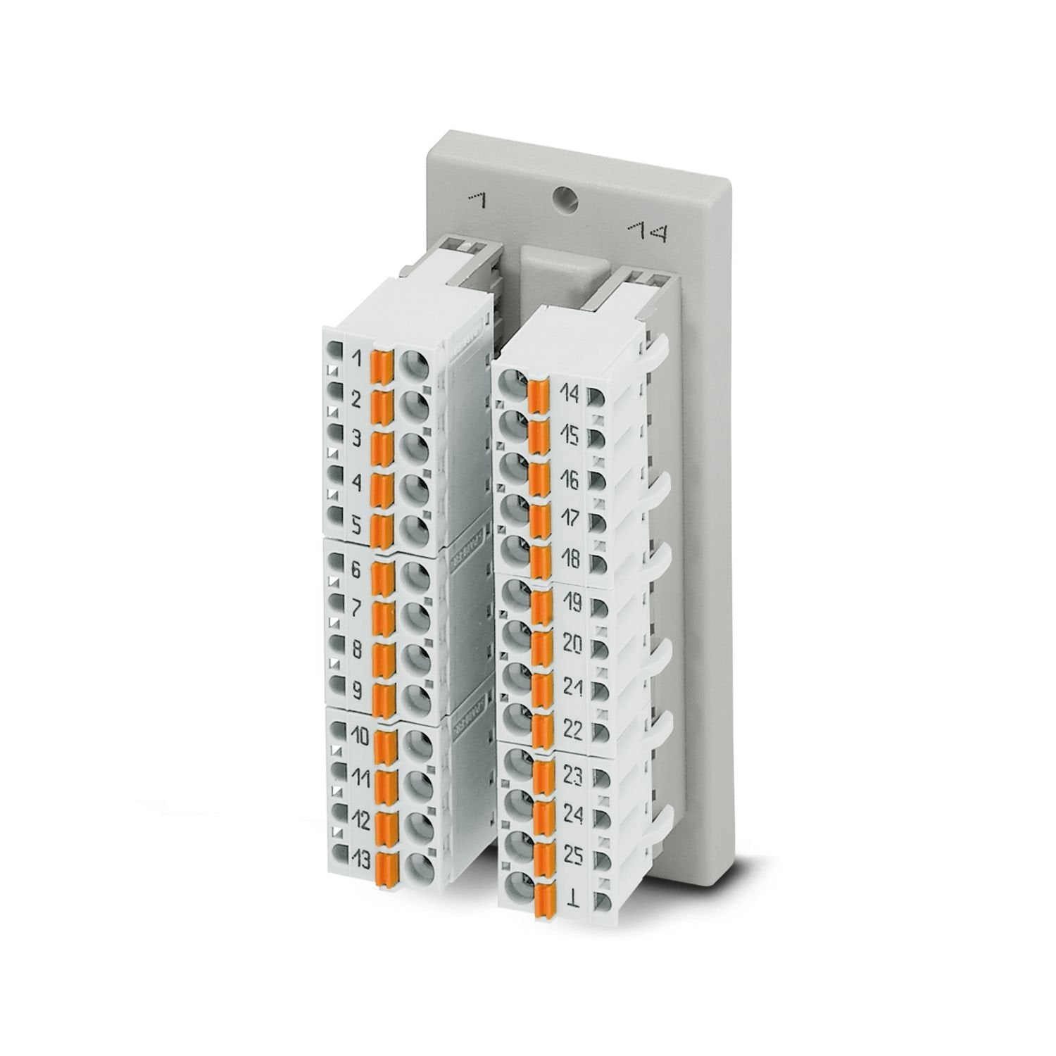 The VARIOFACE feed-through module implements a 1:1 connection between plug-in push-in spring-cage connection terminal blocks and a D-SUB miniature pin strip (number of positions: 25). A separate ground pick-off is available.