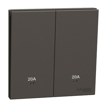 Double Pole Switch with LED, AvatarOn C, 20A, 250V, 2 gang, dark grey (Double Pole Switch with LED AvatarOn C) is a Schneider Electric product. Designed for reliable performance and long service life. Available across Iraq — contact us for pricing and delivery options.