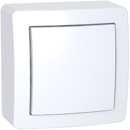 Schneider Electric White 1 Gang Cover