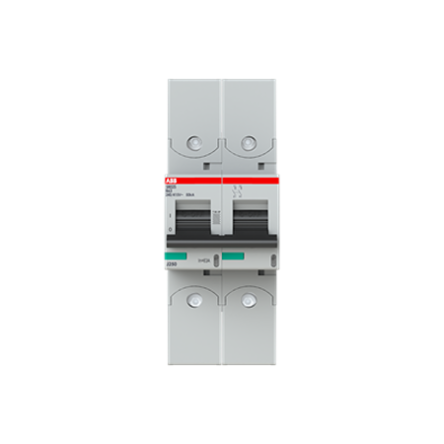ABB S800 2CC Miniature Circuit Breaker, 2-Pole, 63A, Type B, 690V AC, 250 V dc DC, 40 kA Breaking Capacity