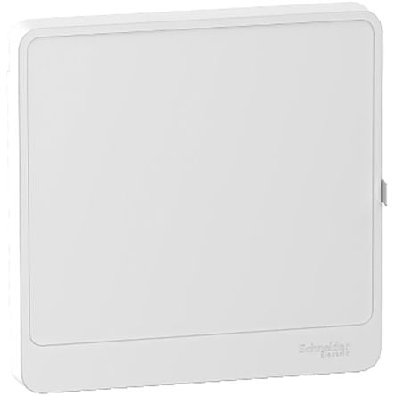 Schneider Electric Resi9 Door for use with Resi9 Enclosure
