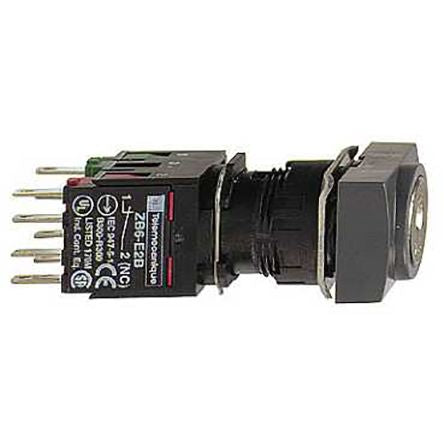 Schneider Electric Stay Put, Key Switch Selector Switch - 2 Positions