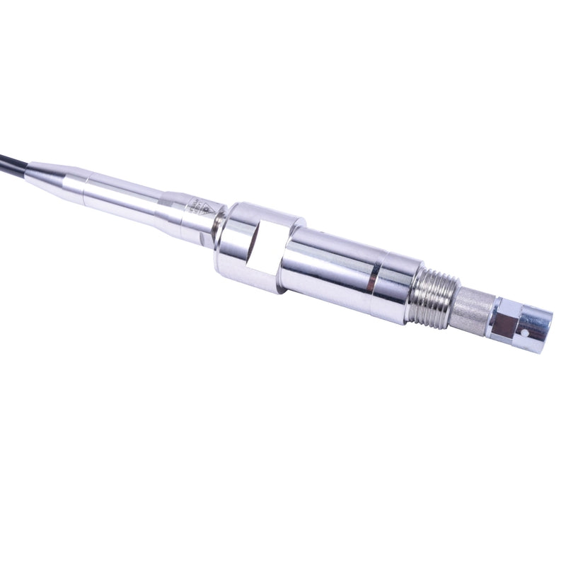 Raman Rxn-30 probe
