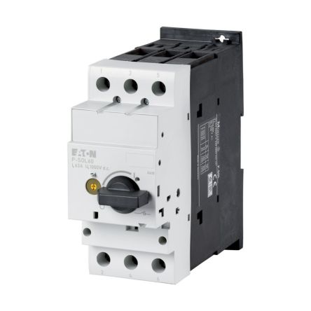 Eaton Fuse Switch Disconnector, 2-Pole, 60 A, 60A