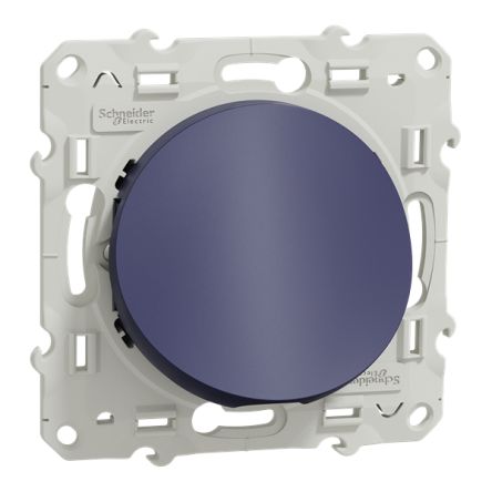 Schneider Electric Screw Cobalt Blue Wall Plate Module, Flush