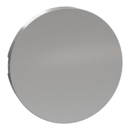 Schneider Electric Odace 2011 Grey Plug Socket
