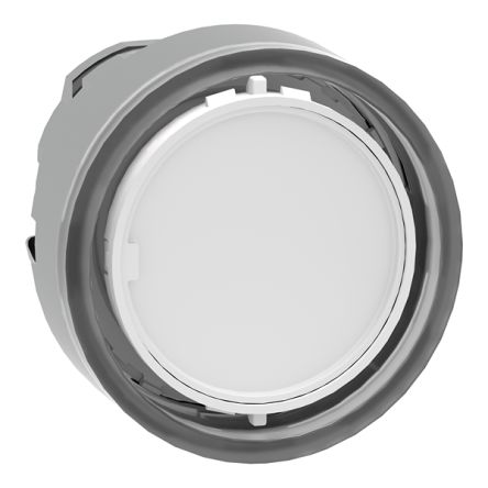 Schneider Electric Spring Return Selector Switch Head - 22.5 mm Cutout Diameter Illuminated