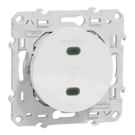 Schneider Electric Screw White 2 Outlet Wall Plate Module, Flush