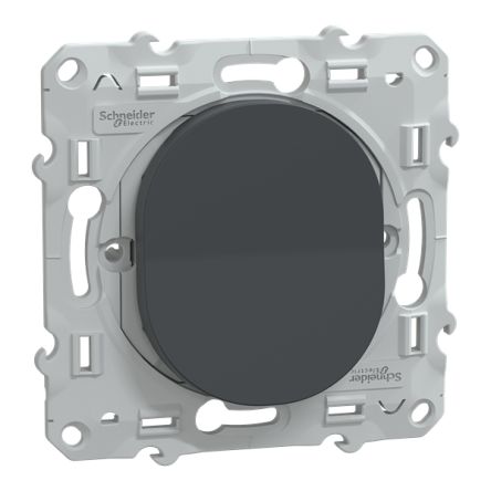 Schneider Electric Anthracite 10A Ovalis C Series