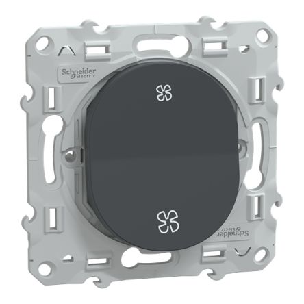 Schneider Electric Anthracite 10A Ovalis C Series