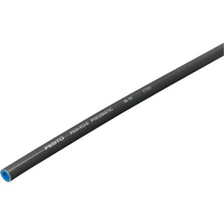 Festo Pan, Black
