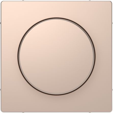 Schneider Electric Beige Cover Plate Thermoplastic Faceplate & Mounting Plate