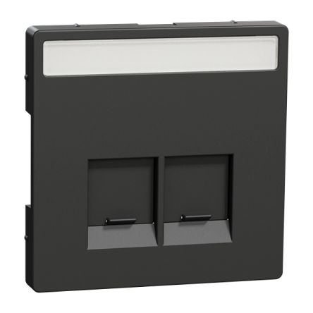 Schneider Electric Anthracite 2 Gang Cover Plate
