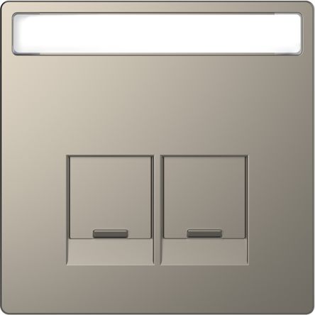 Schneider Electric Nickel 2 Gang Cover Plate