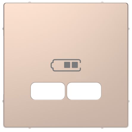 Schneider Electric White 2 Gang Cover Plate