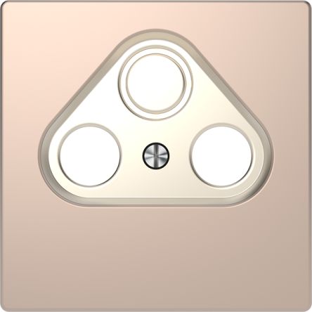 Schneider Electric Brown 2 Gang Cover Plate