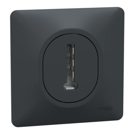 Schneider Electric Black Telephone Socket