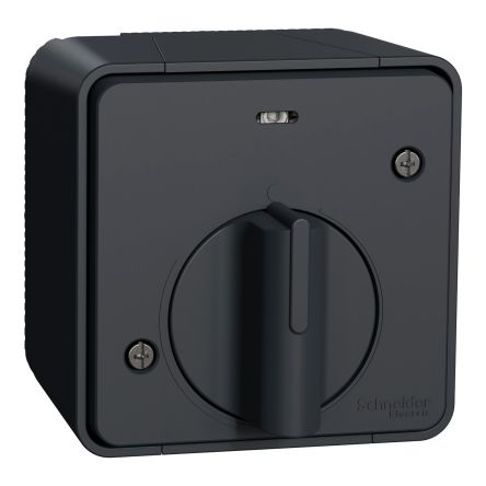 Schneider Electric Grey Turn Switch, 1 Gang, Mureva Styl