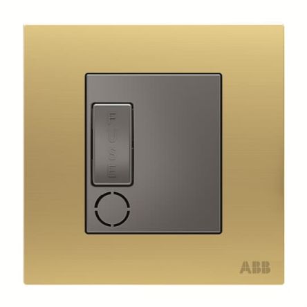 ABB 13A Fused Connection Unit No declaration needed Declaration of Conformity - CE IP20