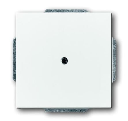 ABB 2CKA Series, Cover Plate Flush