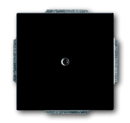 ABB 2CKA Series, Cover Plate Flush