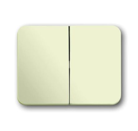 ABB White 2 Gang Light Switch Cover