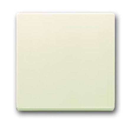 ABB White 1 Gang Light Switch Cover